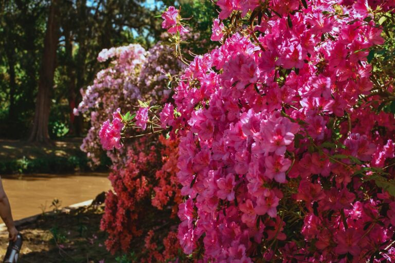 WhatsApp Image 2025-10-24 at 14.30.19